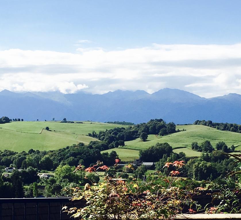 Les Gites De La Maison Bleue D'Estialescq Exteriér fotografie