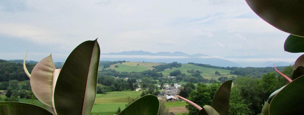 Les Gites De La Maison Bleue D'Estialescq Exteriér fotografie